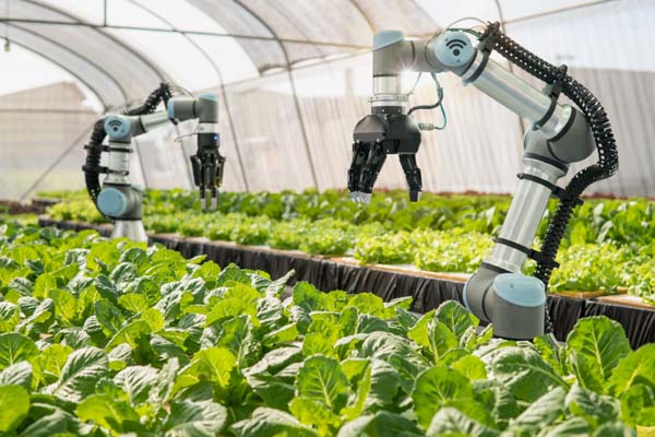 60 % br&aelig;ndstofbesparelse: Integreret BLDC-motor til landbrugsrobotter