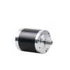 Cap rodona de 80 mm BF80BLS02 3000 rpm 48 V 0,7 Nm 220 W 5,5 A Ф80x80x98 mm Motor de corrent continu sense escombretes