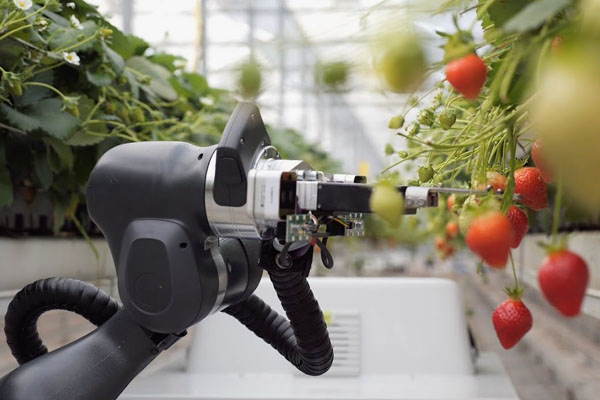 Katere funkcije bi moral imeti vgrajen servo motor za žetvene robote?