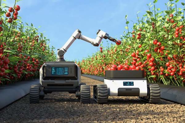 Hvordan v&aelig;lger man den rigtige BLDC-motor til en b&aelig;ltede landbrugsrobot?